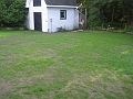 Back Lawn - Day 18